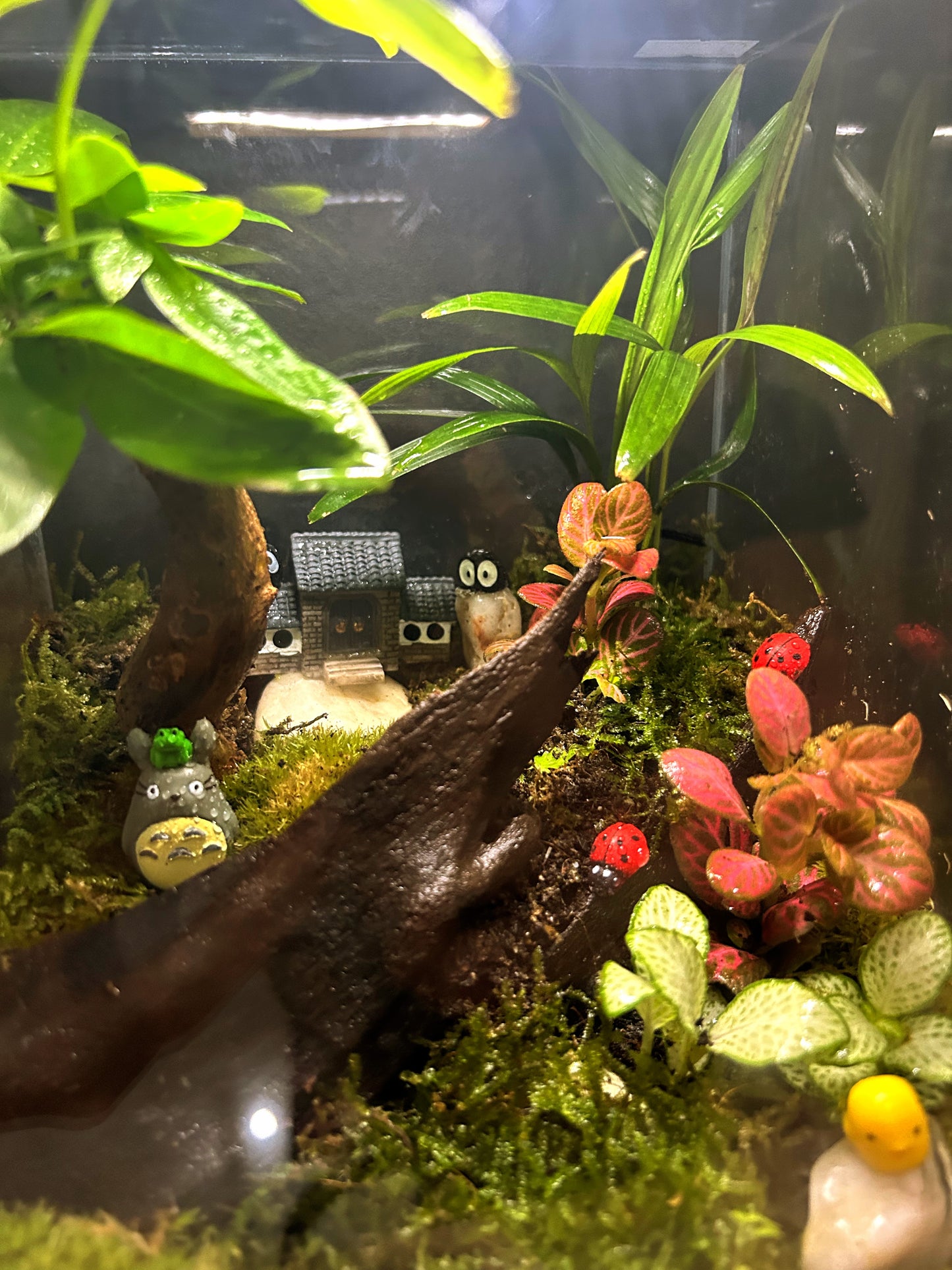 Marikit Terrarium: Totoro's Forest Retreat