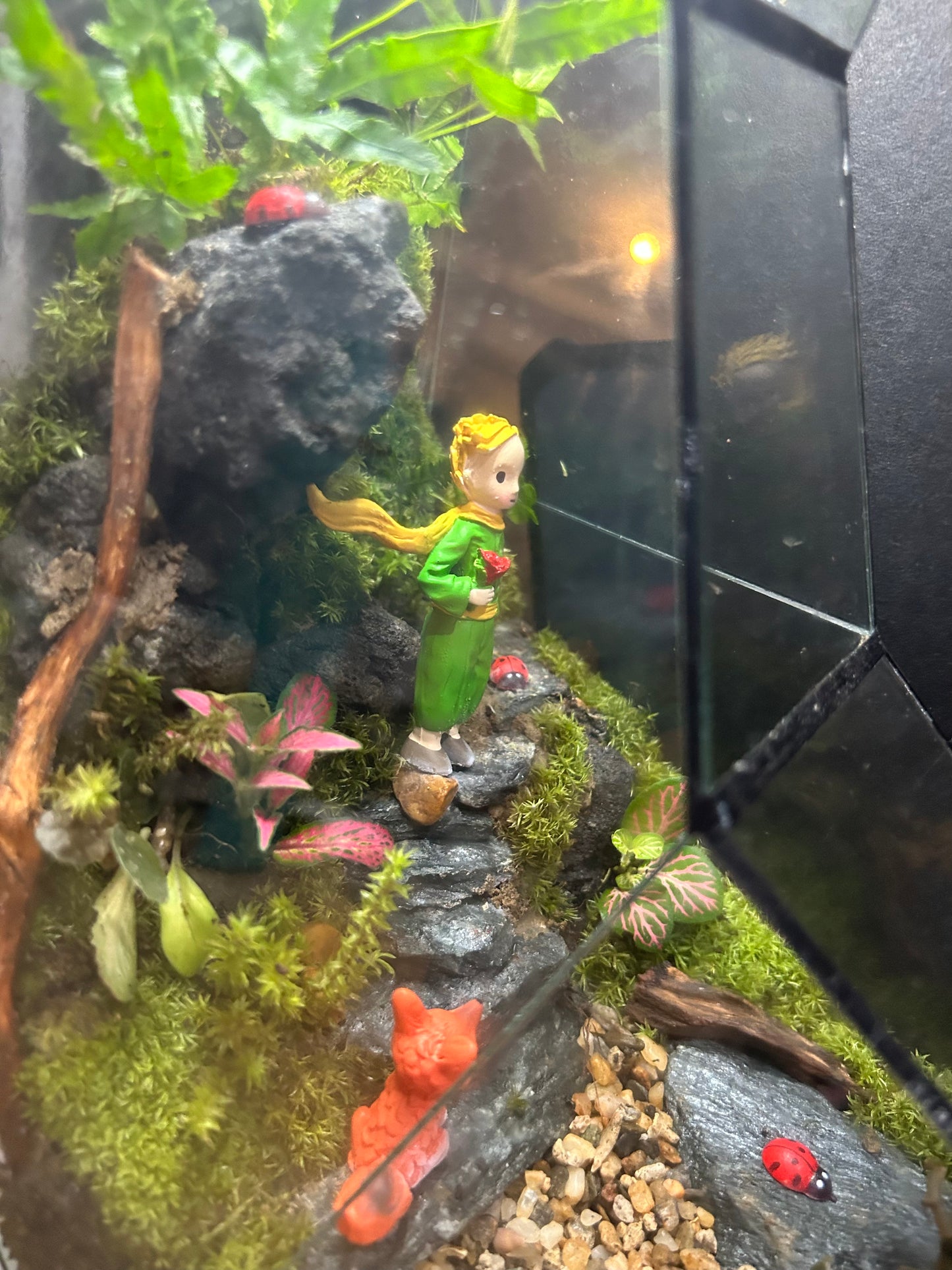 Little Prince Terrarium (Customized)