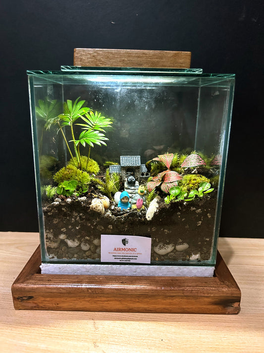 Totoro's Homely Terrarium: Mei, Chibi Totoro, Soot Sprites