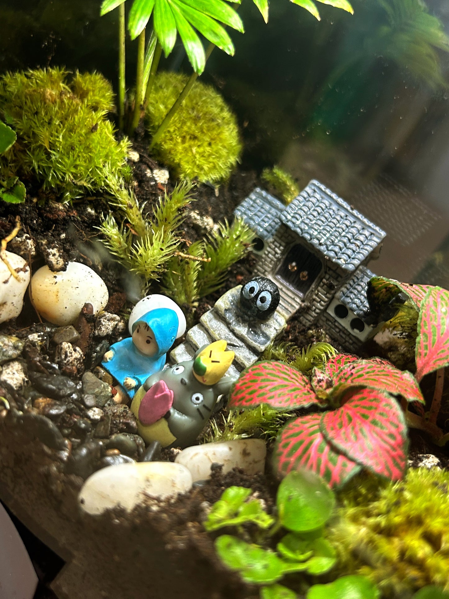 Totoro's Homely Terrarium: Mei, Chibi Totoro, Soot Sprites