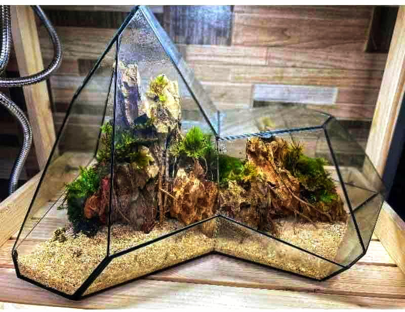 Grand Mountain Range Custom Terrarium with LED Light