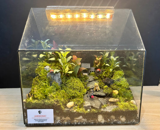 Custom Glass House Terrarium with Rechargeable LED Light