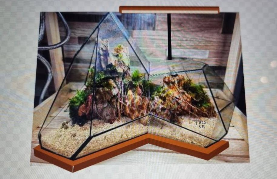 Grand Mountain Range Custom Terrarium with LED Light