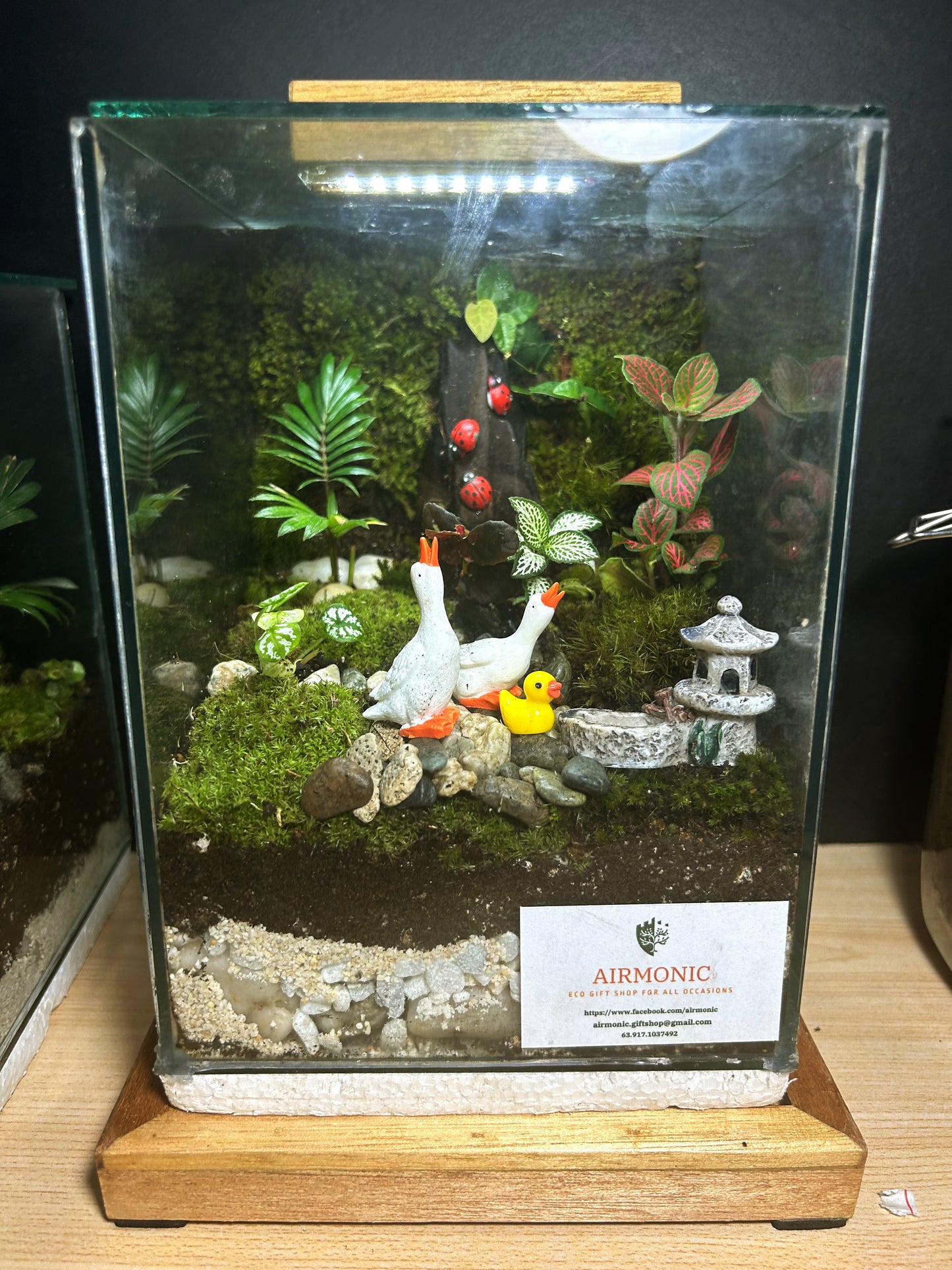 Marikit Terrarium: Quac-tastic Family