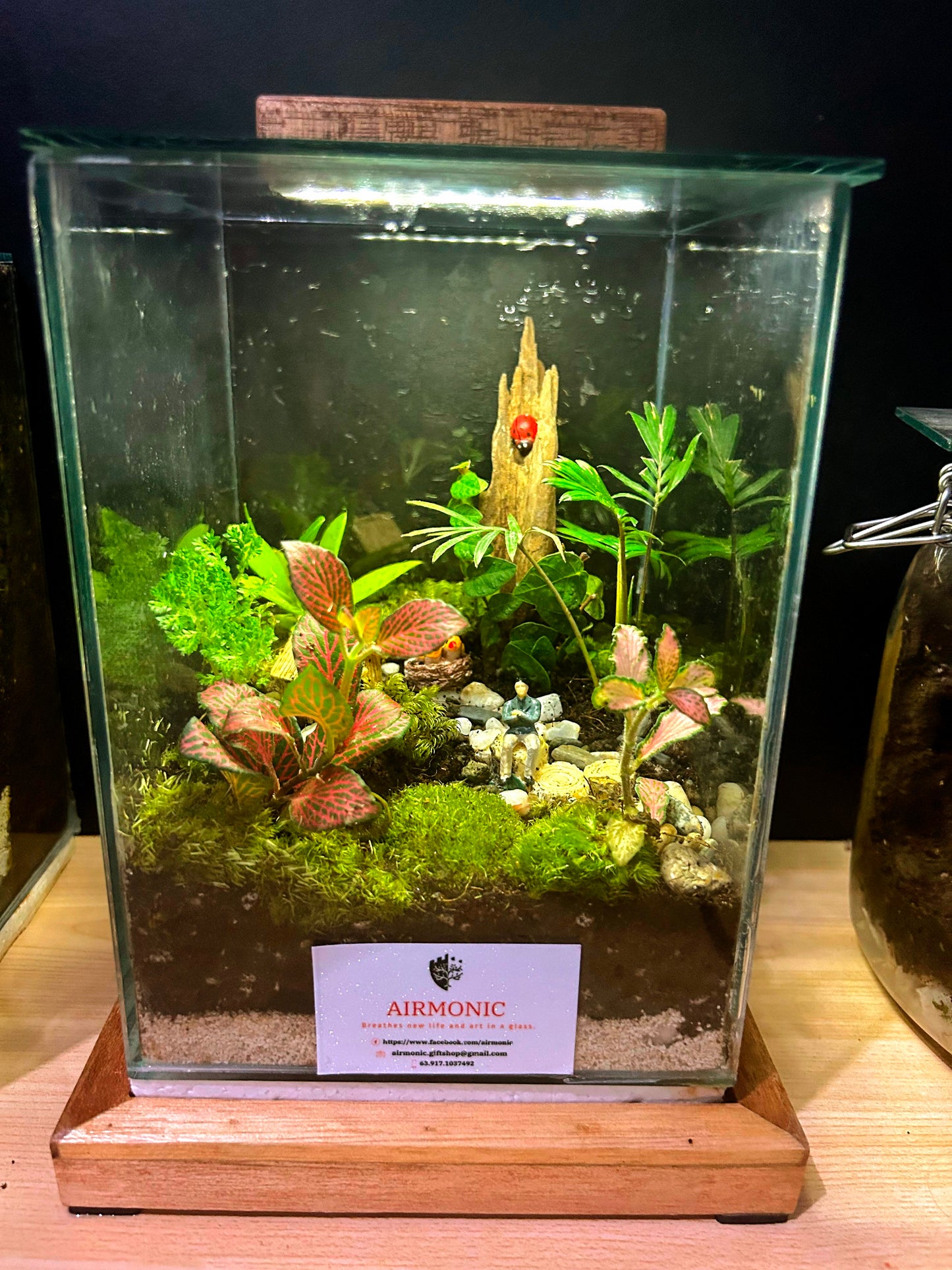 Marikit Terrarium: Tranquil Nature Retreat