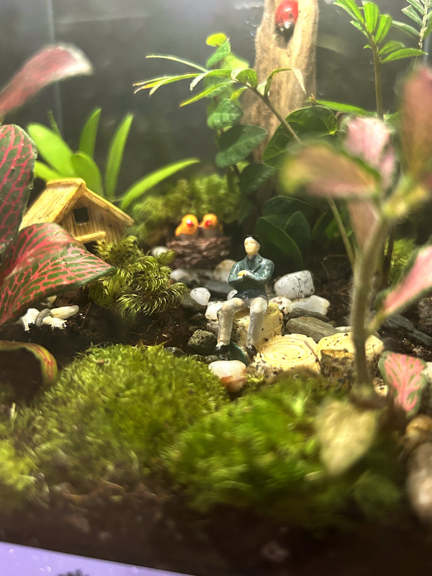 Marikit Terrarium: Tranquil Nature Retreat