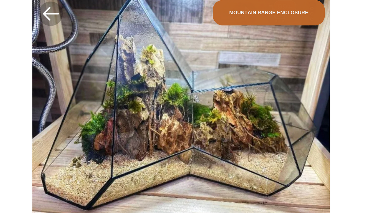 LED Mountain Range Terrarium - 16-inch Customizable Adventure Display