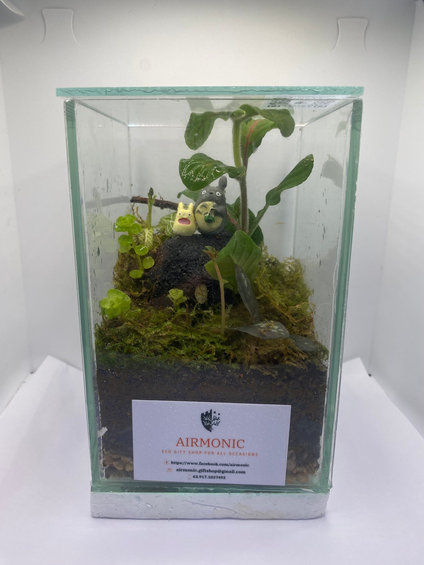 Chibi and Large Totoro Terrarium