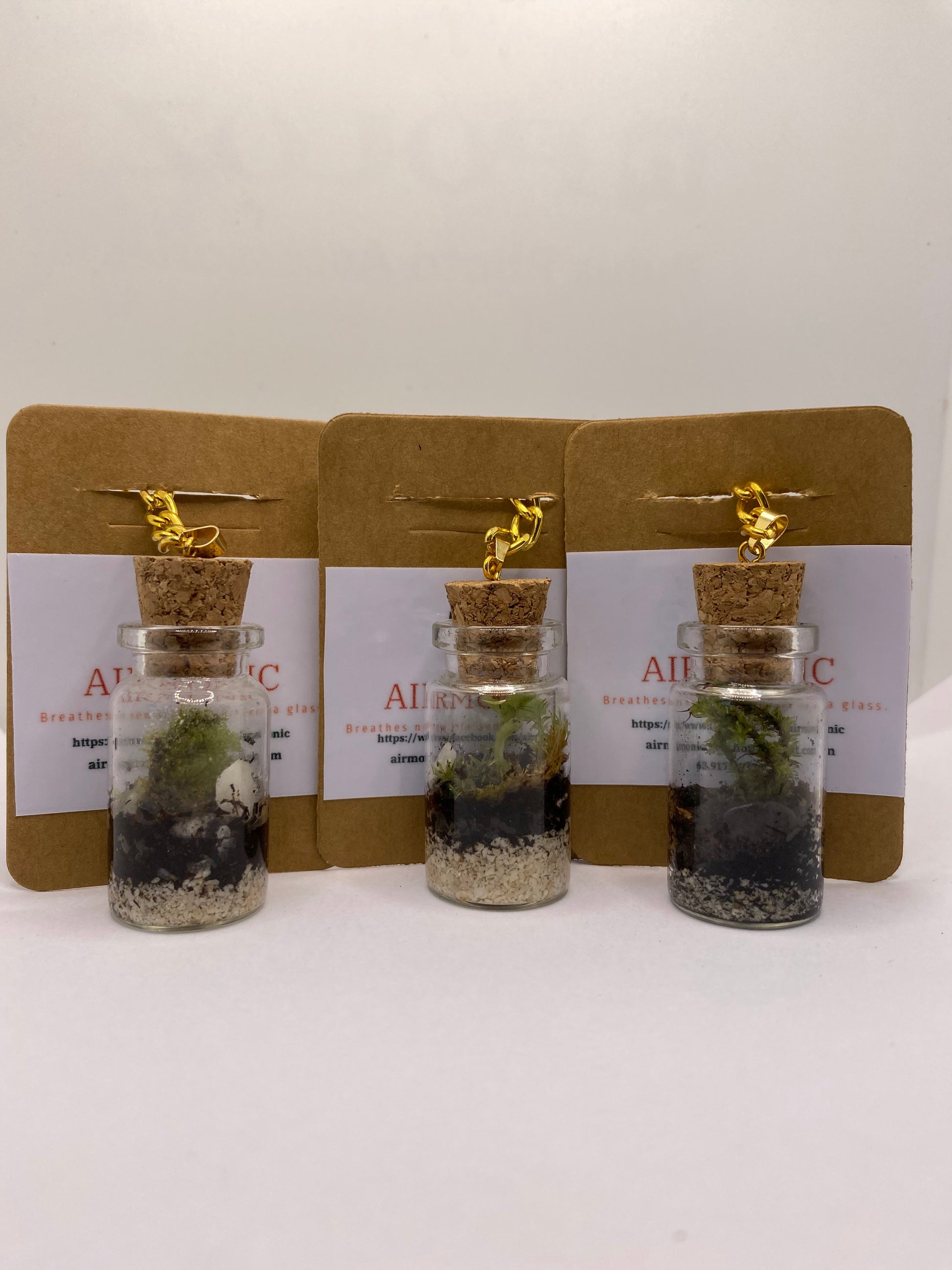 Terrarium Keychain - Main Image