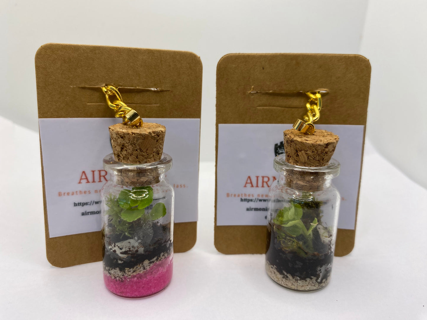 Terrarium Keychain