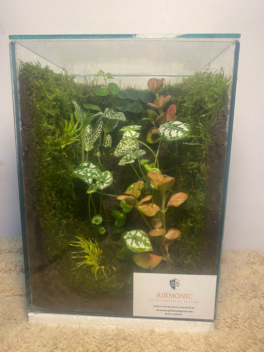 Ganda 2 Terrarium