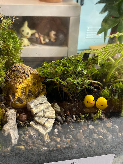 The Lovebirds' Bahay Kubo Terrarium