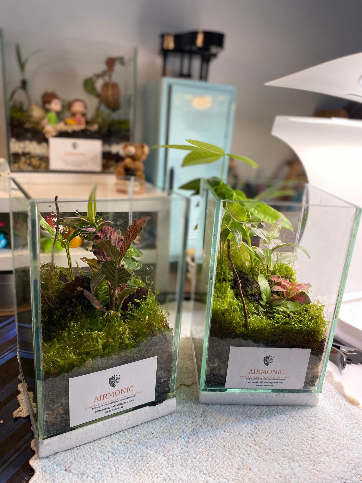 Mini Haba Classic Terrarium