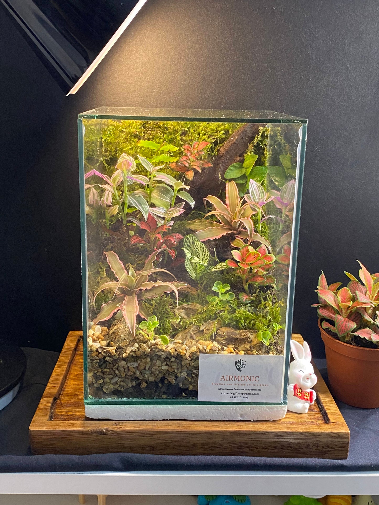 Marikit Terrarium